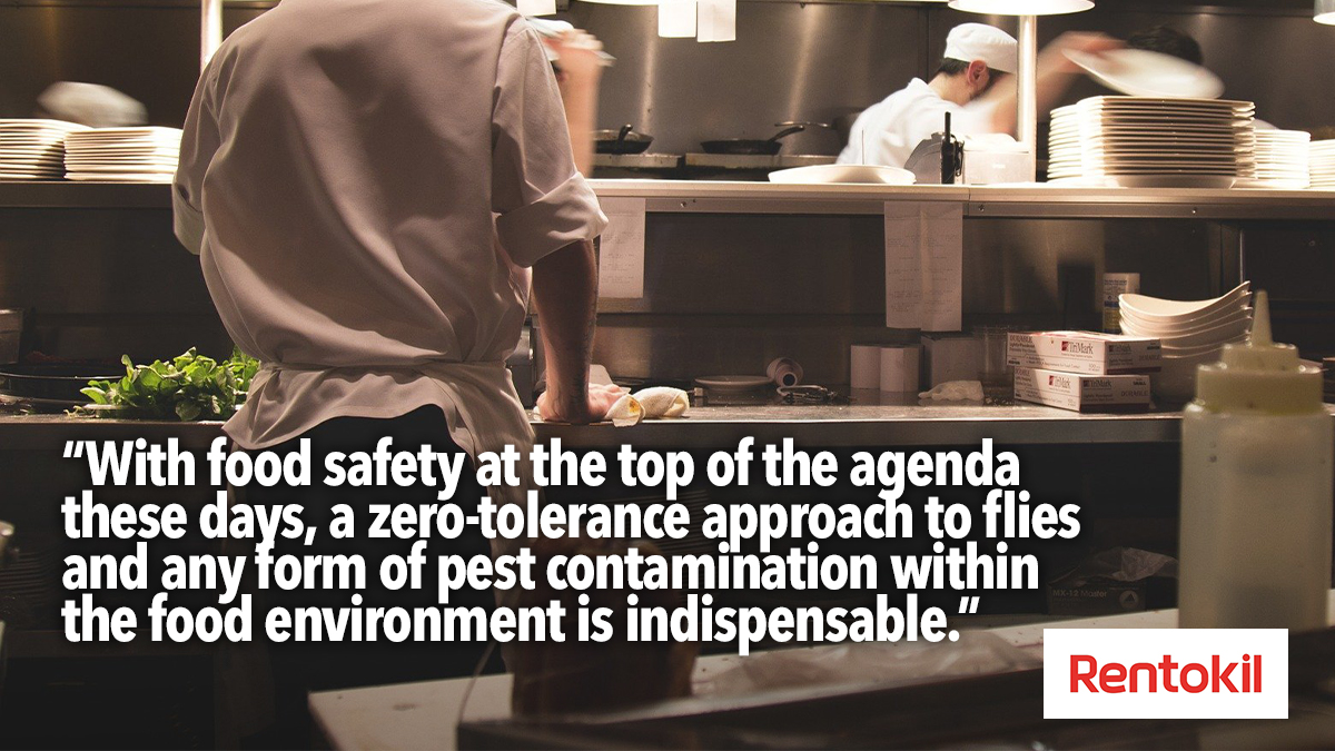 rentokil-flies-in-food-businesses rentokil-flies-in-food-businesses
